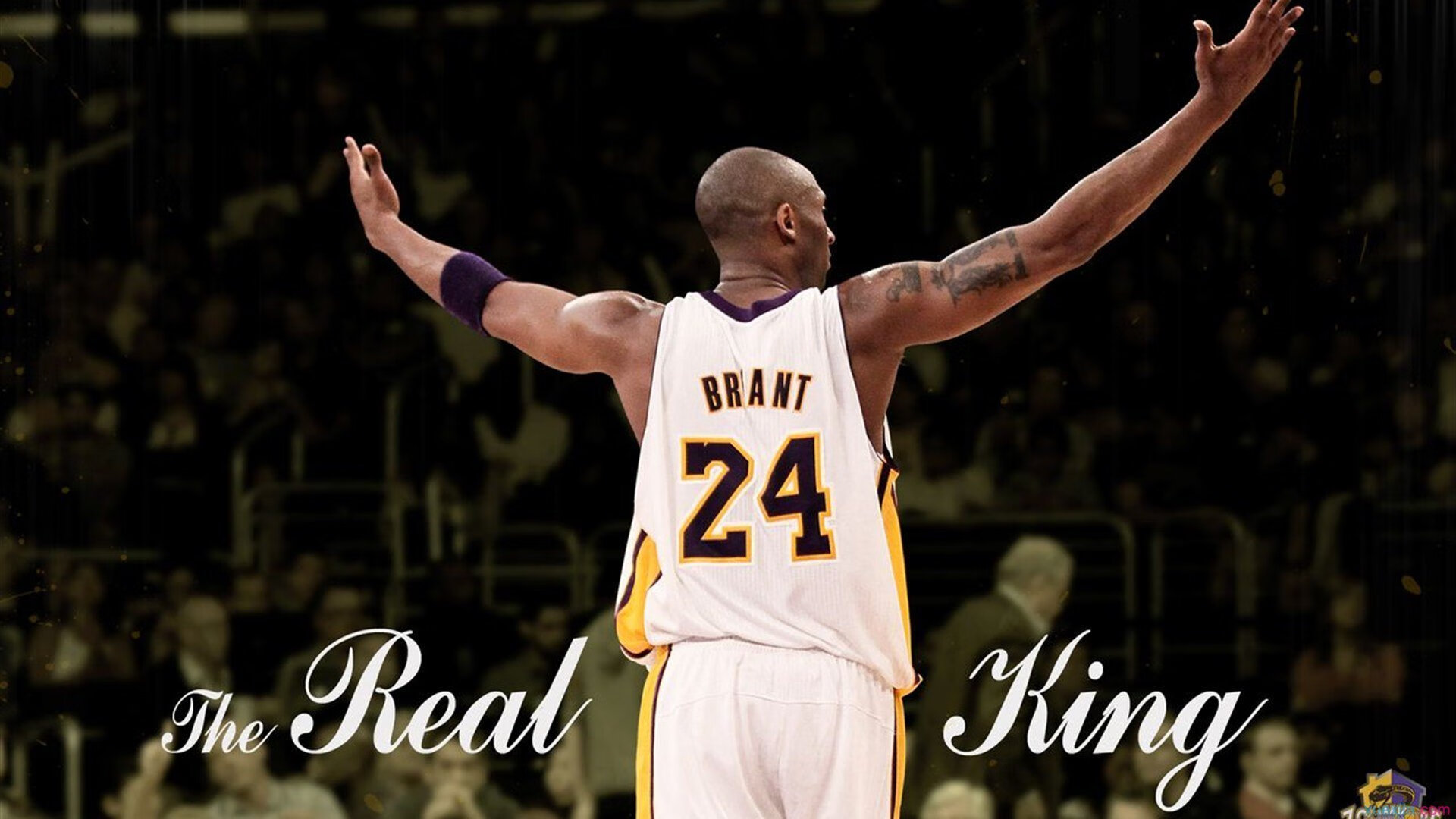 法拉利绝杀哈斯车队，周冠宇关键制胜